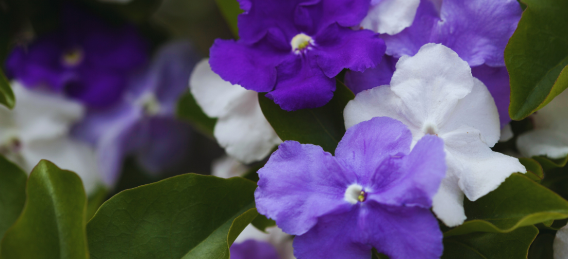 Why Investing in Skincare Today Pays Off Tomorrow_ventura